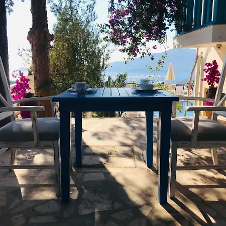 Sultan Kalkan